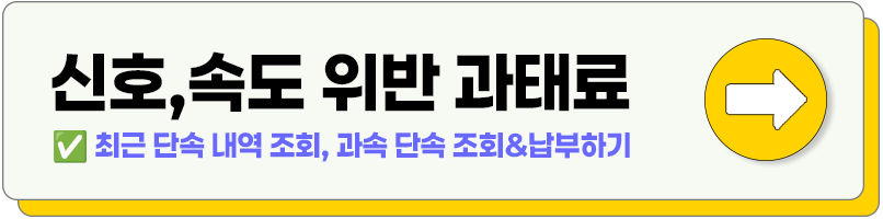 신호속도위반과태료
